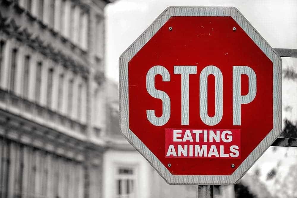 enseigne arreter de manger des animaux